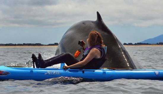 Εντυπωσιακές φωτογραφίες: &quot;Τετ α τετ&quot; με μια φάλαινα