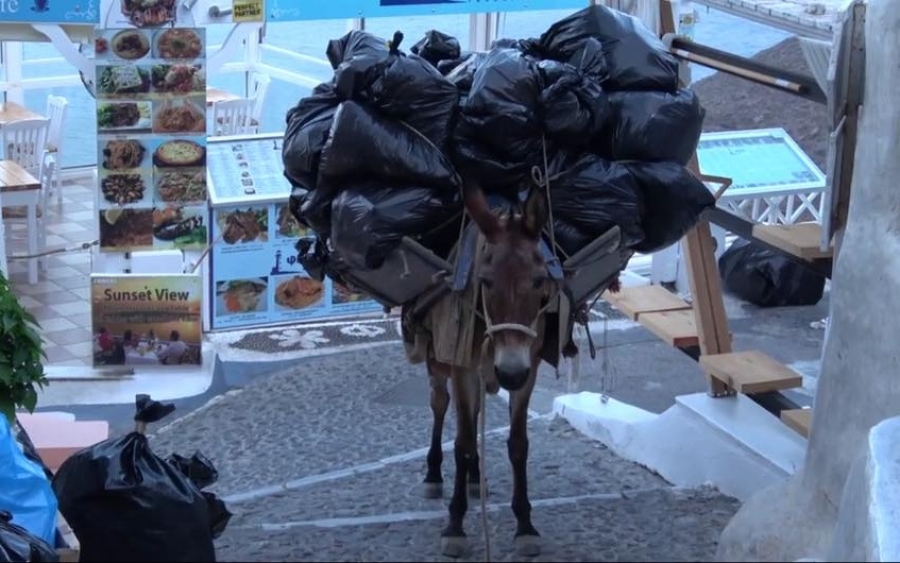 Σαντορίνη: Επίθεση σε φιλόζωο επειδή κατέγραφε βασανισμό γαϊδουριών (βίντεο)