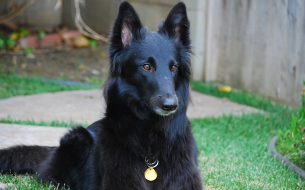 Βρέθηκε ο Ερμής!