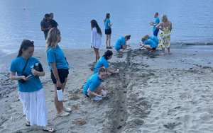 Wildlife Sense: Τα μικρά χελωνάκια παρά τις αντίξοες καιρικές συνθήκες βρήκαν τον δρόμο για την θάλασσα!