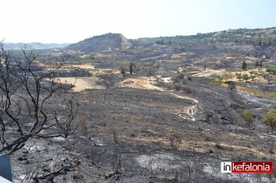 Παλική, η επόμενη μέρα: Μαύρο τοπίο παντού! (εικόνες)