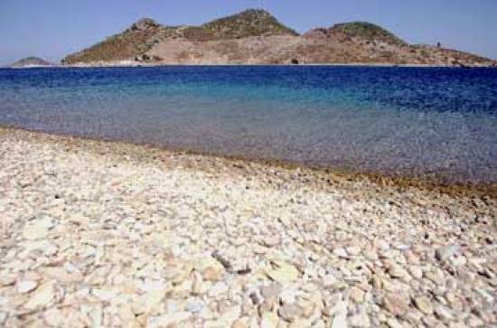 Καθυστερήσεις στη διαδικασία παραχώρησης του δικαιώματος χρήσης αιγιαλού και παραλίας