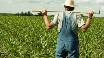 Ε.Α.Σ. : Πώς ο ντόπιος Αγρότης βγαίνει στη σύνταξη