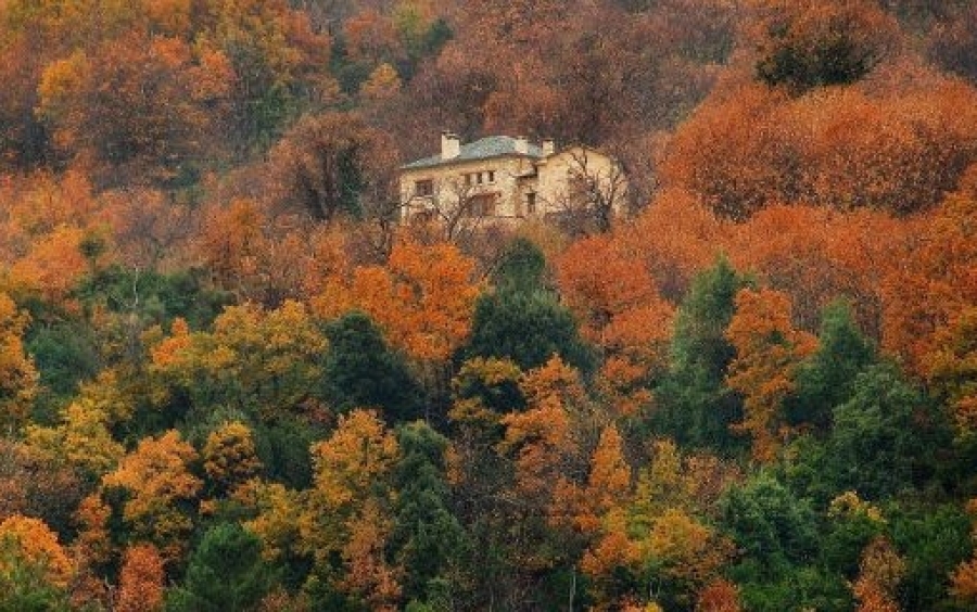 Το βγαλμένο από παραμύθι πέτρινο σπίτι σε δάσος στο Πήλιο -Χωμένο μέσα στα δέντρα, παραδοσιακό και χουχουλιάρικο [εικόνες]