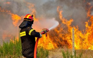 Πυροσβεστική Διάταξη για ενημέρωση και ευαισθητοποίηση πολιτών σχετικά με την πρόληψη δασικών πυρκαγιών