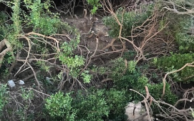 Νίκος Κουρκουμέλης: Κάποιοι νομίζουν ότι μπορούν να αυθαιρετούν και να καταστρέφουν το φυσικό περιβάλλον στην παραλία της Σκάλας