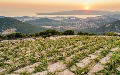 "Δώρο Θεού" η Ρομπόλα για την Κεφαλονιά - Συνέντευξη του Κώστα Μπαζίγου στον InKefalonia 89,2