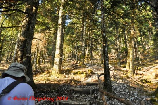 Η Ορειβατική Λέσχη Κεφαλονιάς στην σηματοδοτημένη διαδρομή στα ΒΑ του Αίνου που οδηγεί στην κορυφή Μέγα Σωρός