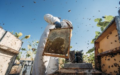 Ε.Α.Σ. : Ενημέρωση συμπατριωτών Μελισσοκόμων