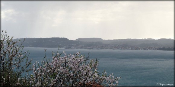 Εικόνα : Ευτυχία Χαρτουλιάρη