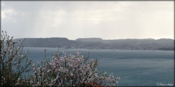 Εικόνα : Ευτυχία Χαρτουλιάρη