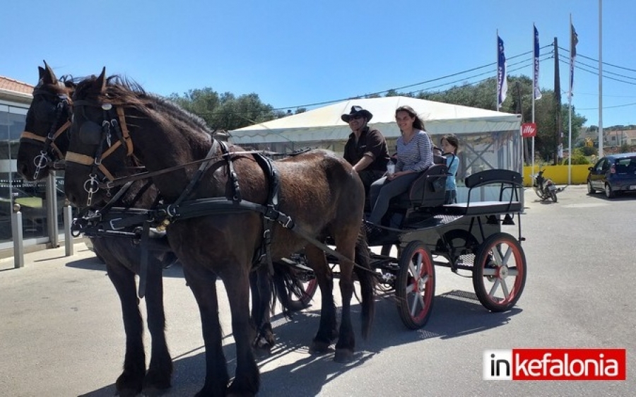 Ένα όμορφο αμάξι με δυο άλογα βγήκε βόλτα στην Κεφαλονιά! (εικόνες)
