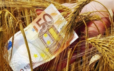 Ένωση Αγροτικών Συνεταιρισμών Κεφαλονιάς & Ιθάκης: Ξεκίνησε η πληρωμή της φετινής βασικής Επιδότησης