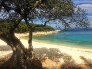 Φθινοπωρινή βόλτα στην Έμπλυση (εικόνες)