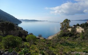 Πωλείται αμφιθεατρικό αγροτεμάχιο στα Φάρσα