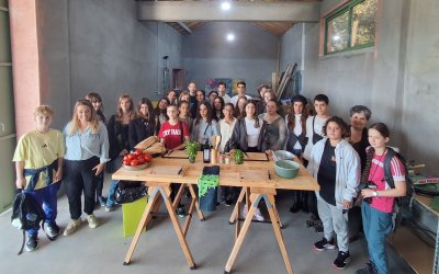 2ο Γυμνάσιο Αργοστολίου: Μια αξέχαστη εμπειρία στη βιολογική φάρμα φραγκόσυκων στην Κεφαλονιά