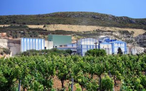 Η επιχείρηση ΙΟΝΙΑΝ ΚΑΛΚ αναζητά προσωπικό για το εργοστάσιο της στις Μηνιές