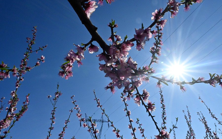 Κλέαρχος Μαρουσάκης: Προχωρημένη άνοιξη θα θυμίζει ο καιρός - Πότε κατεβαίνει ψυχρό μέτωπο
