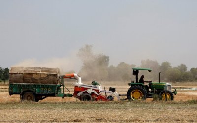 Η ΑΑΔΕ ξεκινά κυνήγι για τις κλεμμένες επιδοτήσεις του ΟΠΕΚΕΠΕ – Πώς θα εντοπιστούν οι αγρότες από την ειδική ομάδα