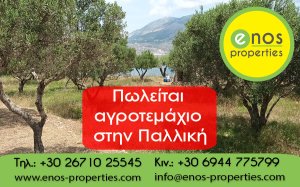 Πωλείται οικοδομήσιμο αγροτεμάχιο 4.000+ τ.μ στην Παλική, με υπέροχη θέα στην θάλασσα
