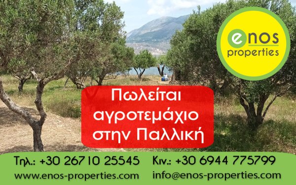 Πωλείται οικοδομήσιμο αγροτεμάχιο 4.000+ τ.μ στην Παλική, με υπέροχη θέα στην θάλασσα