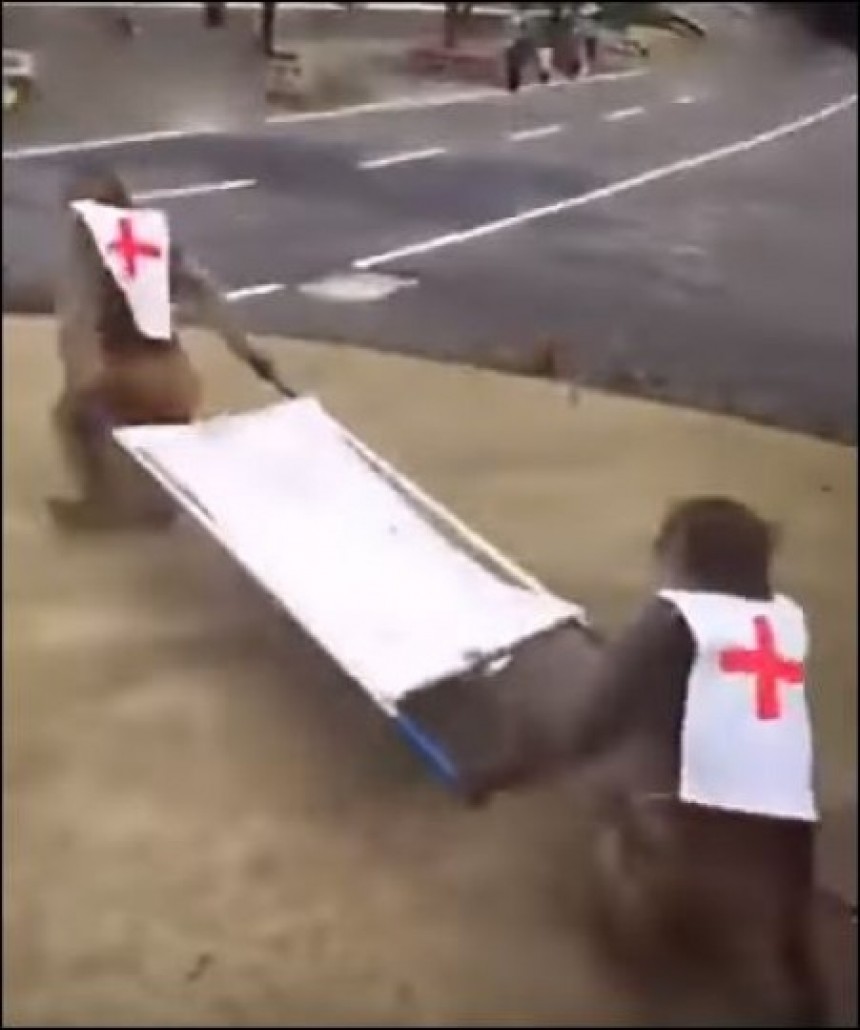 Eπικό βίντεο – Μαϊμούδες στην Κίνα ξεπέρασαν τους τραυματιοφορείς της Λάρισας