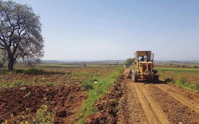 Πρόστιμα για τους ιδιοκτήτες ζώων που προκαλούν αγροτικές φθορές