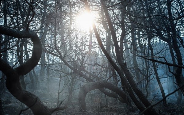 Εύβοια: Ορατός ο κίνδυνος της ερήμωσης ολόκληρων χωριών