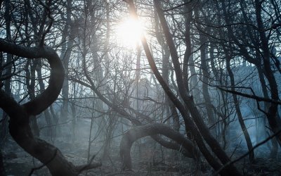 Εύβοια: Ορατός ο κίνδυνος της ερήμωσης ολόκληρων χωριών