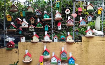 Ο Πολιτιστικός Σύλλογος Πόρου «Ο Πρόνησος» χάρισε ταΐστρες πουλιών στα παιδάκια του νηπιαγωγείου