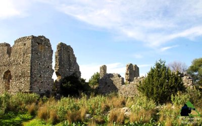 «Μνήμες Πέτρας και Πίστης»: ΑΥΡΙΟ η παρουσίαση προσεισμικών Ναών του Δήμου Αργοστολίου που δεν επανοικοδομήθηκαν