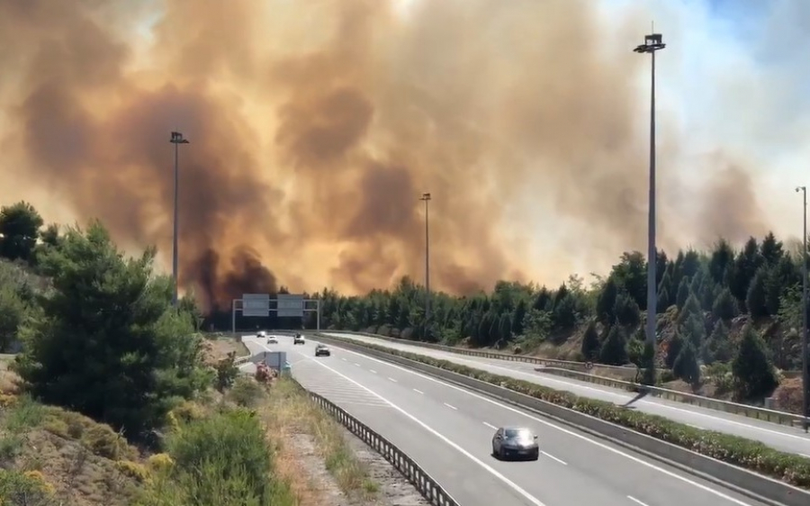 Ανεξέλεγκτη η φωτιά στο Μαρτίνο! Οι φλόγες πέρασαν την εθνική οδό