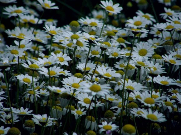 Ευχαριστήριο προς το Νοσοκομείο Κεφαλονιάς