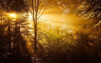 Πότε σπάει ο αντικυκλώνας και έρχονται βροχές - Τι λέει ο Κλέαρχος Μαρουσάκης