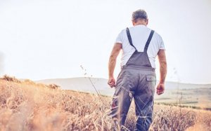 Αγροτοκτηνοτροφικός Σύλλογος Κεφαλονιάς & Ιθάκης: Συνεχίζονται οι εκλογές για την ανάδειξη Δ.Σ.