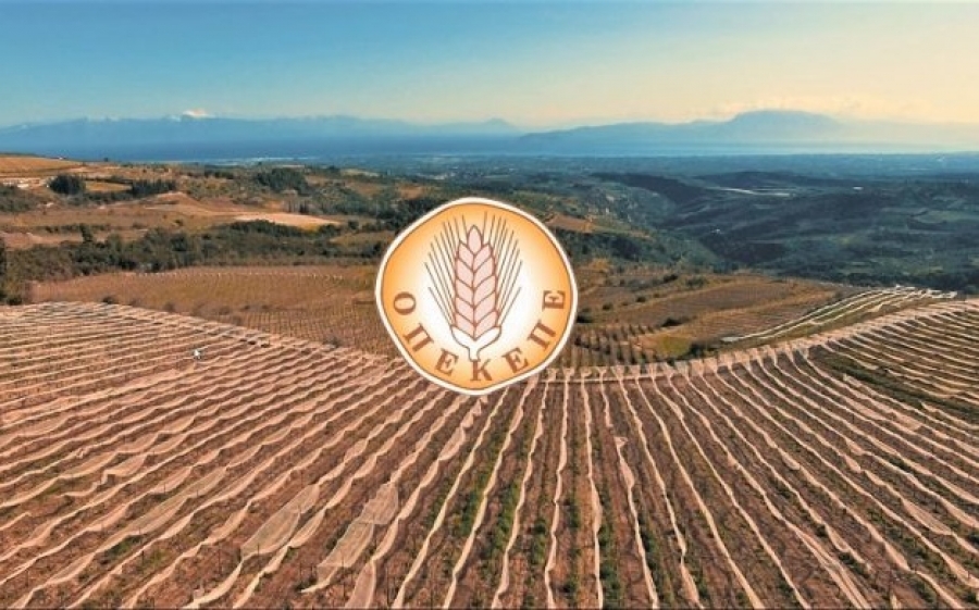 Ε.Α.Σ.: Αναρτήθηκαν τα αποτελέσματα Τηλεπισκόπησης για τους Αγρότες