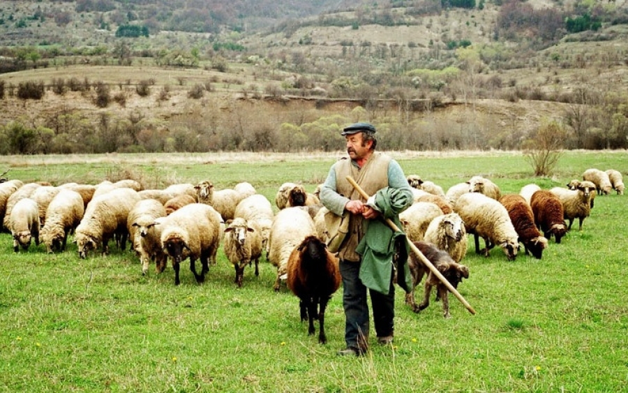 Έμπρακτη βοήθεια στους ντόπιους Κτηνοτρόφους από τον Ε.Α.Σ.