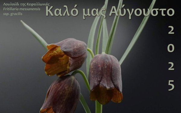 Ευχές για καλό μήνα από τον Σύλλογο Κεφαλλήνων Βικτώριας "Ο Κέφαλος"