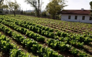 Οι πρώτες γυναικείες αγροτικές φυλακές -Στη Θήβα, με κήπο, νηπιαγωγείο, μικρά διαμερίσματα [εικόνες]