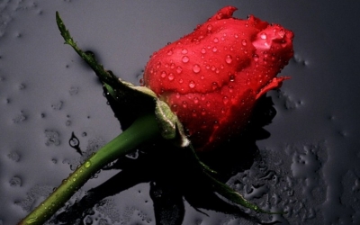 Συλλυπητήρια του Δήμου για την απώλεια της Καίτης Αποστολάτου