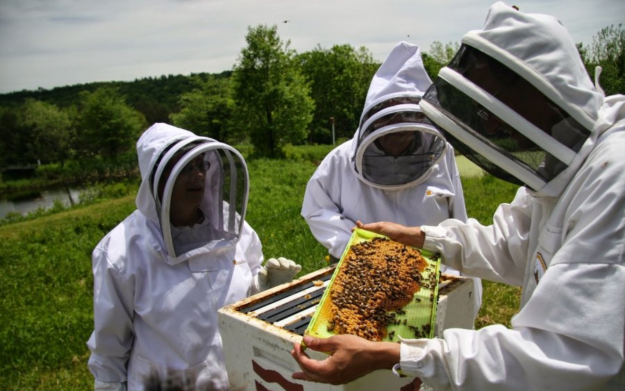 Παναγής Καππάτος: Ενημέρωση για δράση στήριξης της τοπικής Μελισσοκομίας