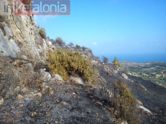 Νέες Πυρκαγιές σε Μαρκόπουλο και Ατσουπάδες