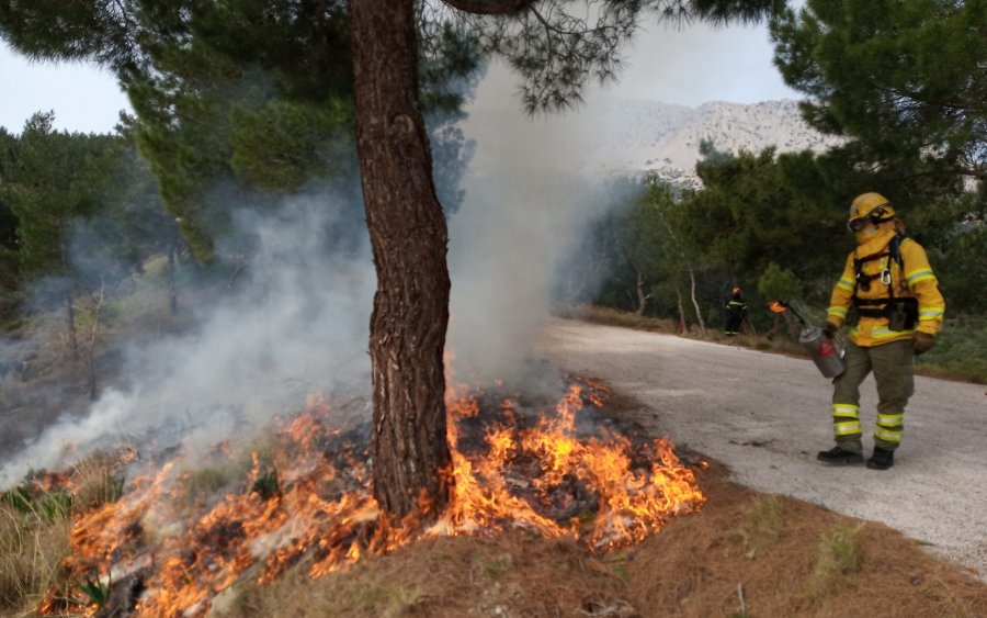 Προδιαγεγραμμένη καύση: Πιλοτική εφαρμογή για την πρόληψη των δασικών πυρκαγιών