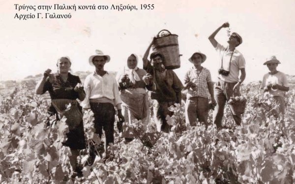 «Ο τρύγος του Φώτη Αλέπορου », μια μικρή λαϊκή κεφαλληνιακή όπερα