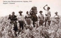 «Ο τρύγος του Φώτη Αλέπορου », μια μικρή λαϊκή κεφαλληνιακή όπερα