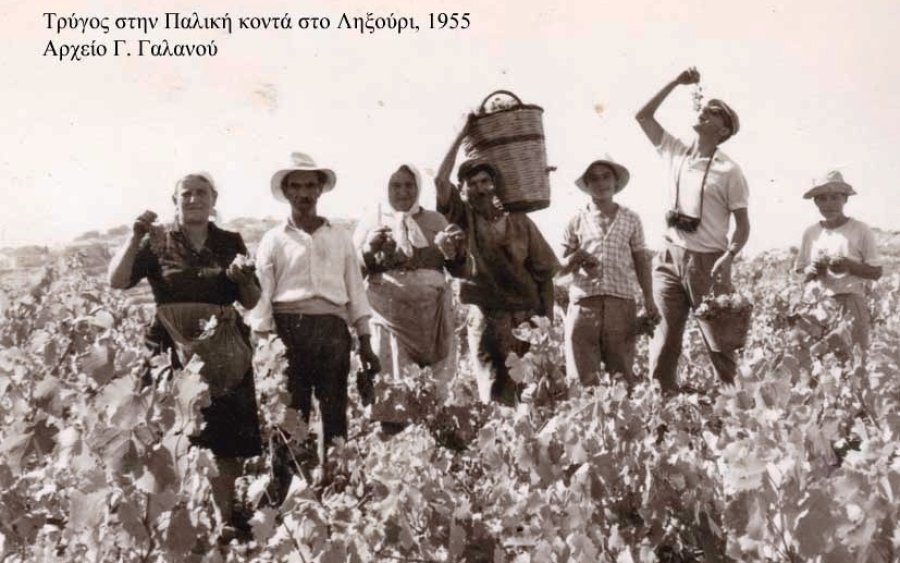 «Ο τρύγος του Φώτη Αλέπορου », μια μικρή λαϊκή κεφαλληνιακή όπερα