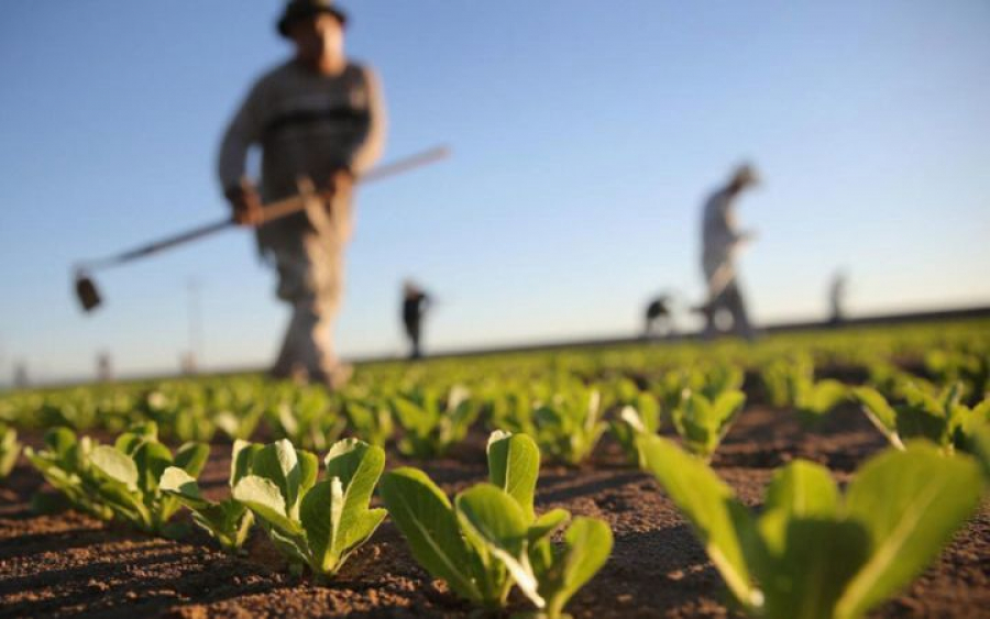 Ε.Α.Σ.: Ποιοι  ντόπιοι  Αγρότες  γλιτώνουν το χαράτσι