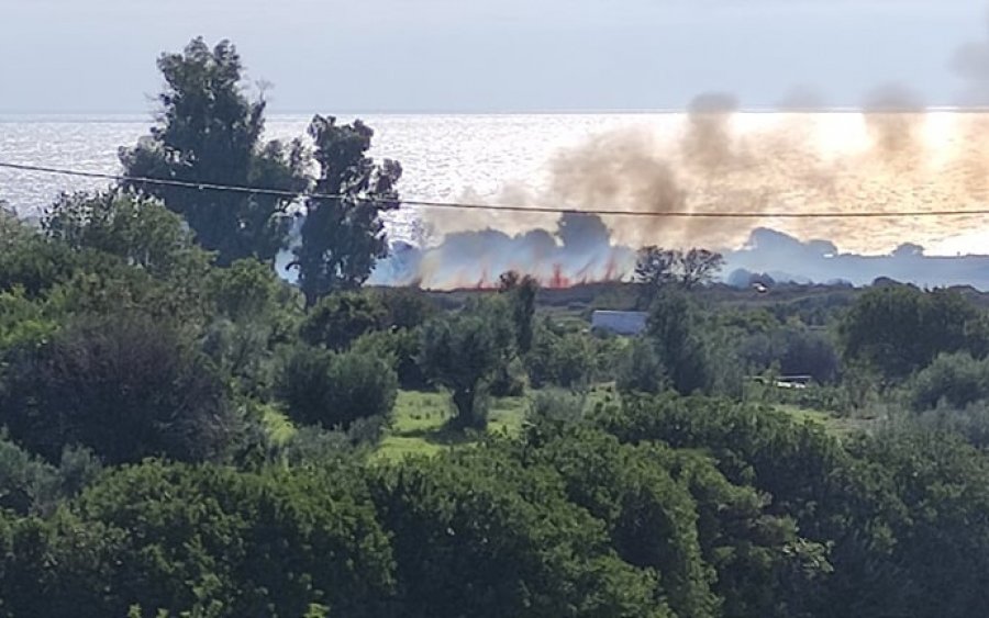 Φωτιά στην Μούντα στον Κατελειό (εικόνες/video)