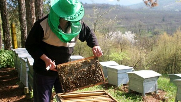 Ανακοίνωση του Μελισσοκομικού Συνεταιρισμού