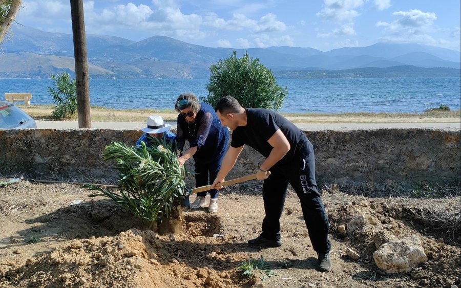 Ληξούρι: Δενδροφύτευση στον &quot;Υπερίων&#039;&#039;!